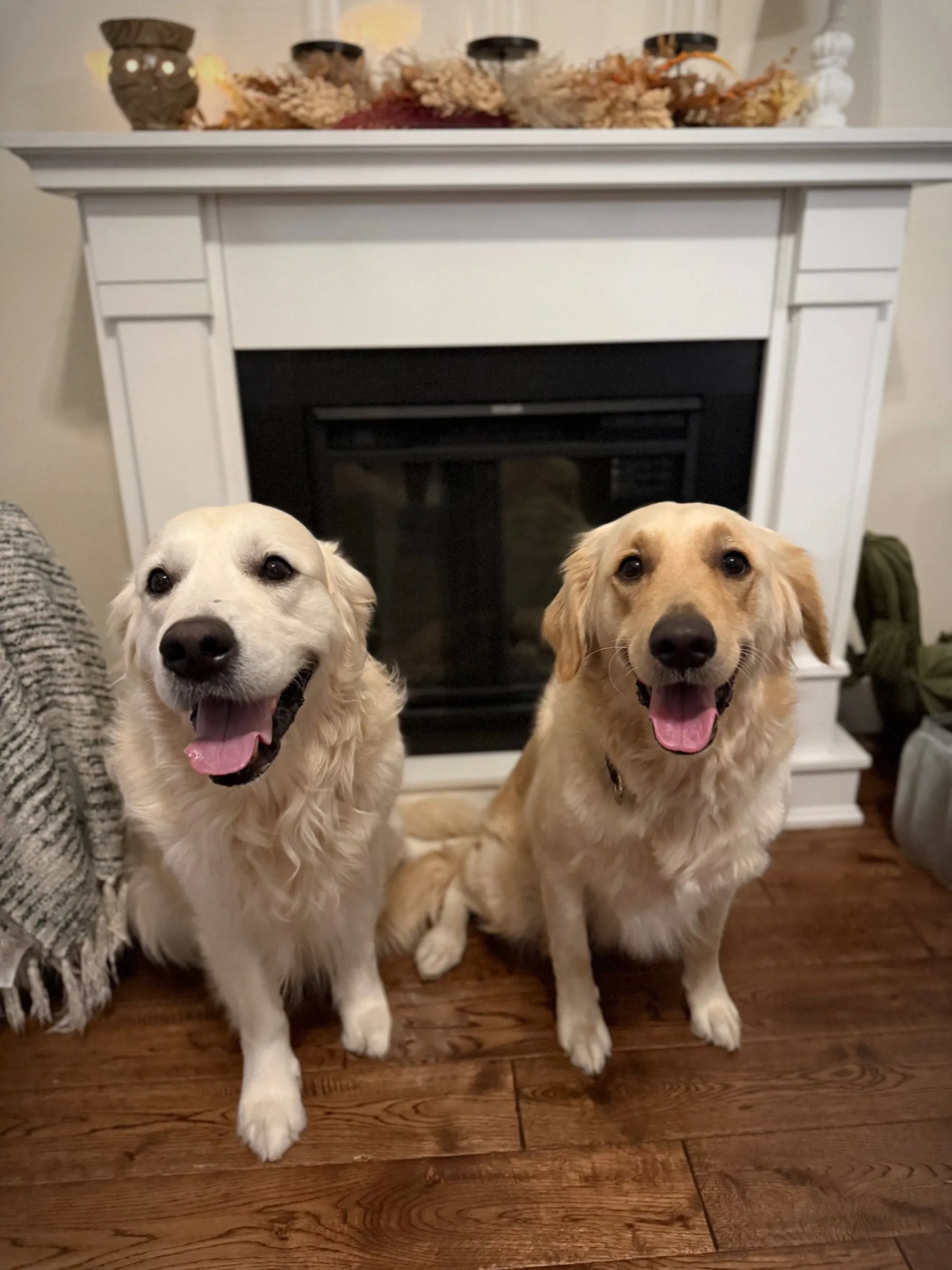 Brady and Luna sitting side by side
